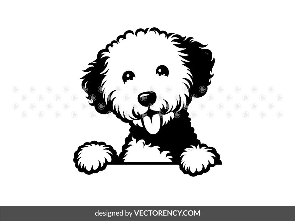 Peeking Bedlington Terrier Dog Image PNG Vector