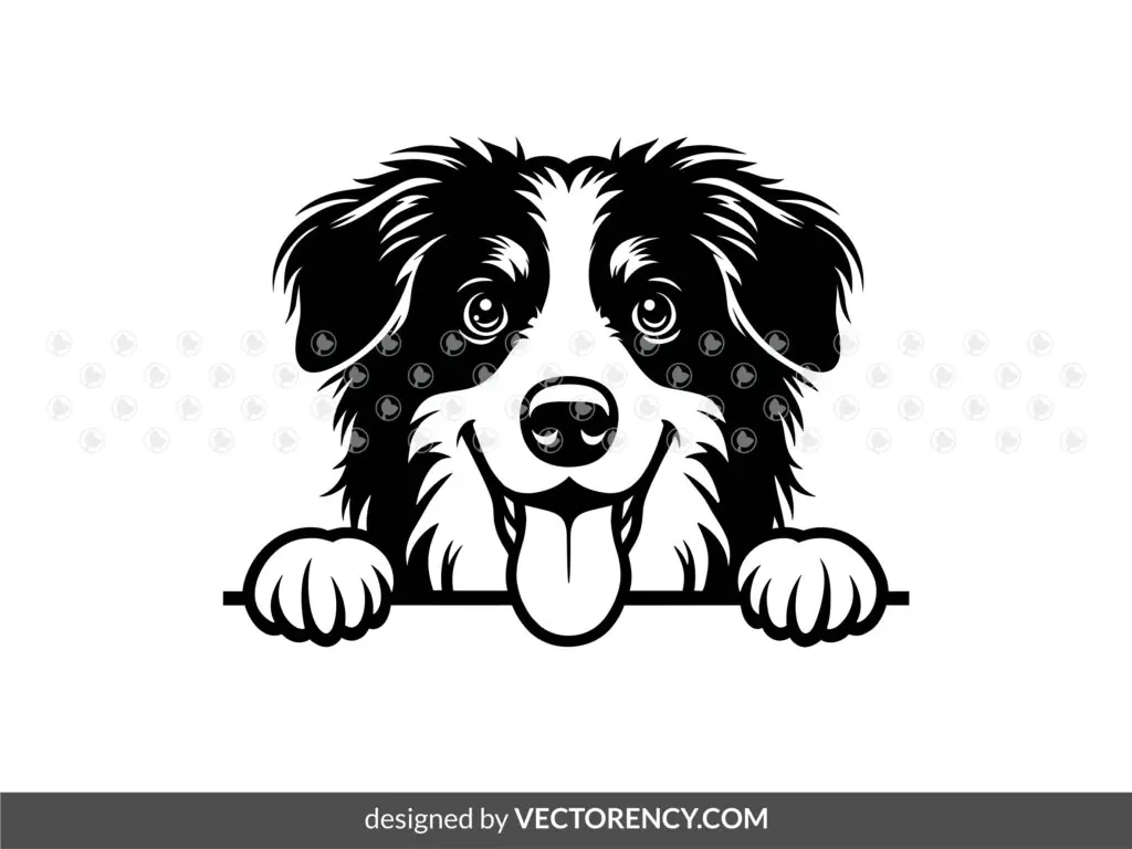 Peeking Australian Shepherd Dog Vector PNG SVG